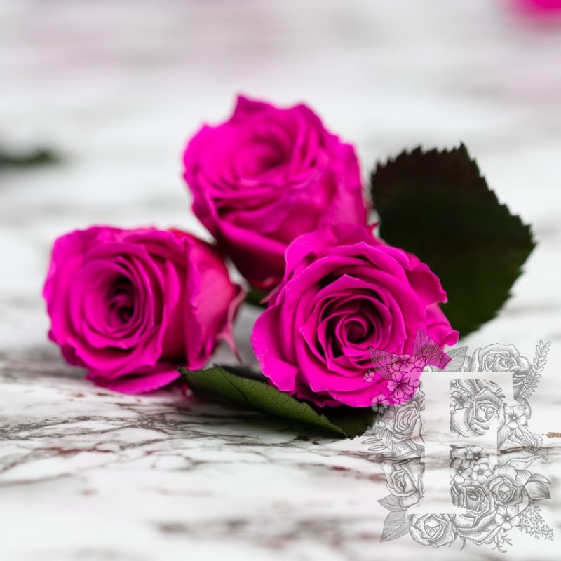 Hot pink