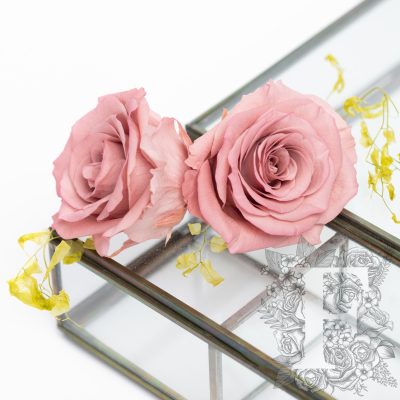 Full bloom rose - 6 Heads