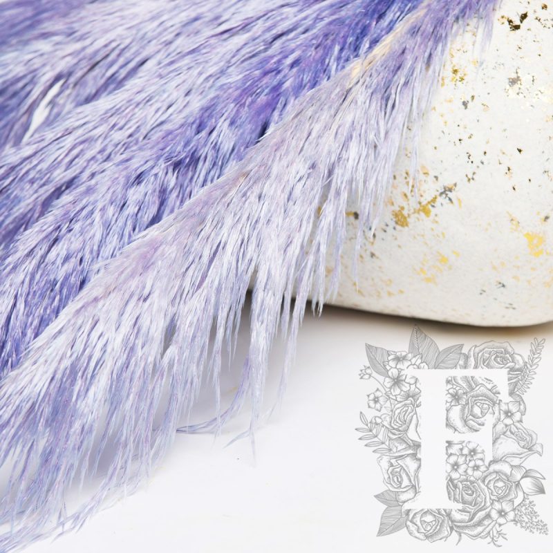 light violet