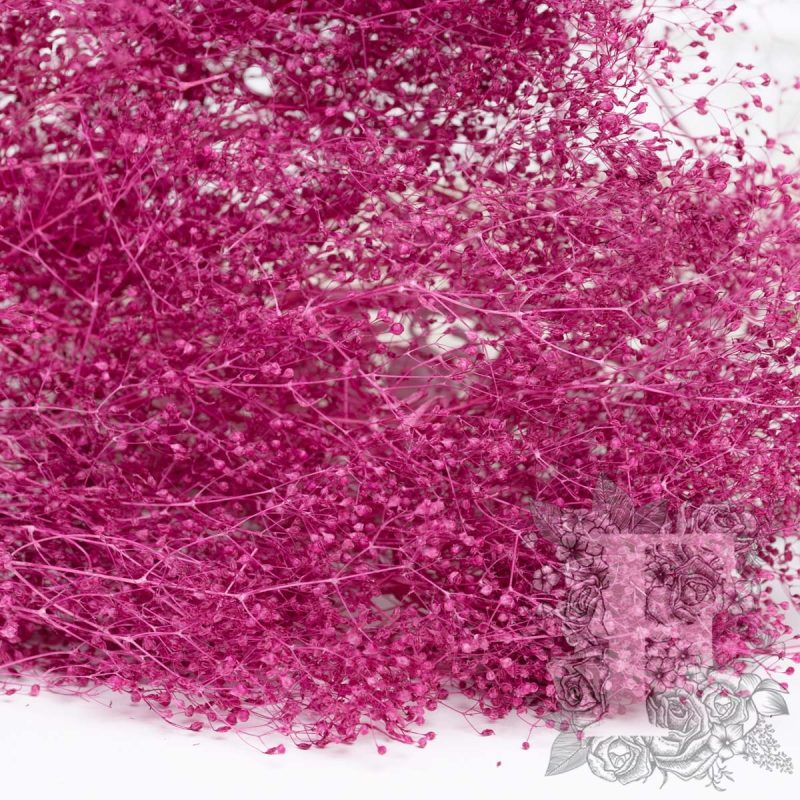 Cranberry
