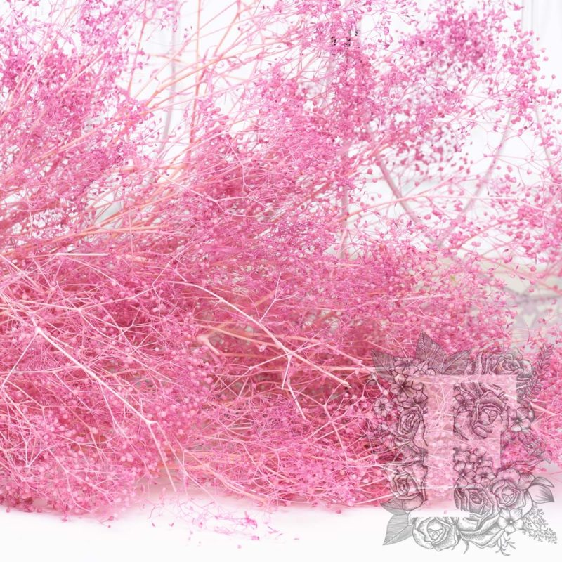Deep Pink
