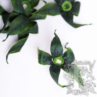 Sepal - Box