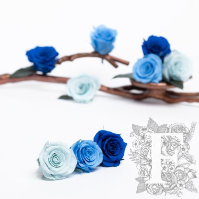 Rose Kanon - Medium - 9 Heads