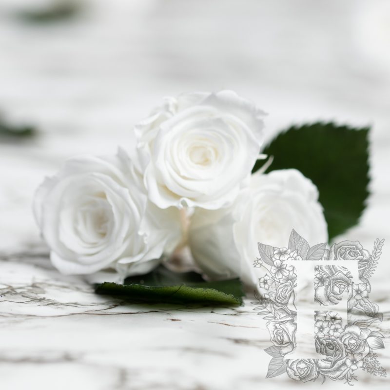 Princess vwhite