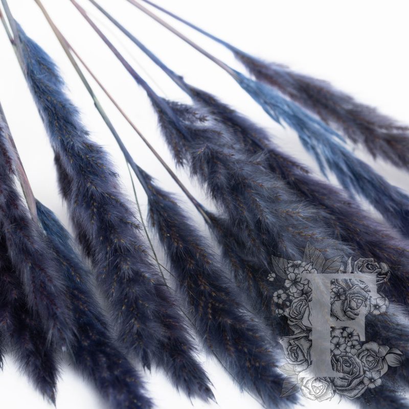 Cobalt Blue