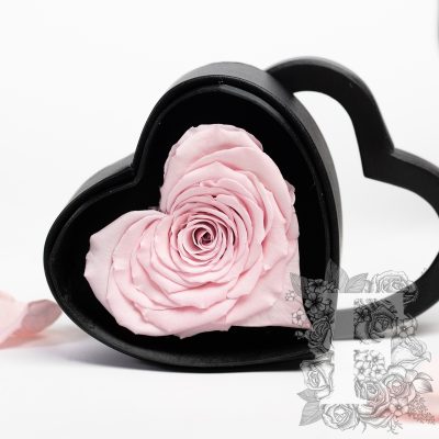 Gift Box - Heart