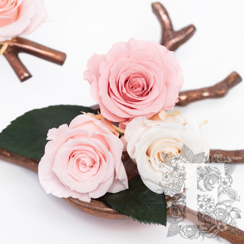 White & Pink Mix