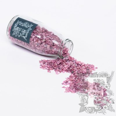Crushed Shells - Glass Jar