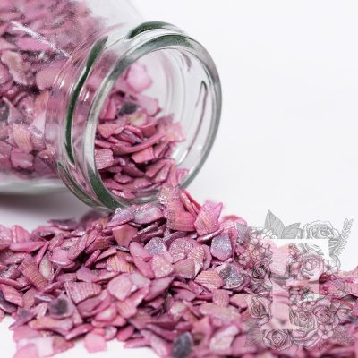 Crushed Shells - Glass Jar