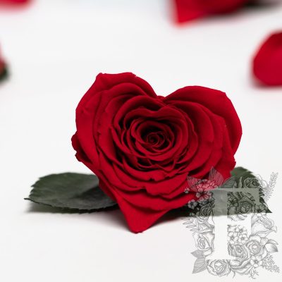 RoseAmor - Small Heart - 4 Heads