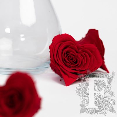 RoseAmor - Small Heart - 4 Heads