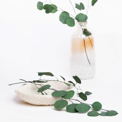 Standard Eucalyptus Populus - Bunch