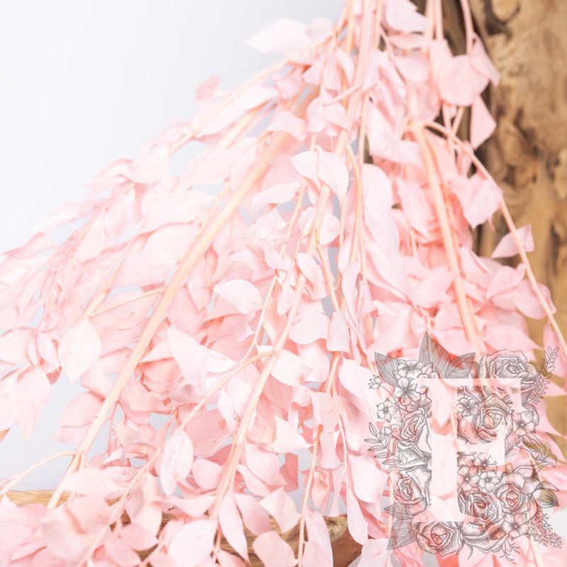 Baby Pink