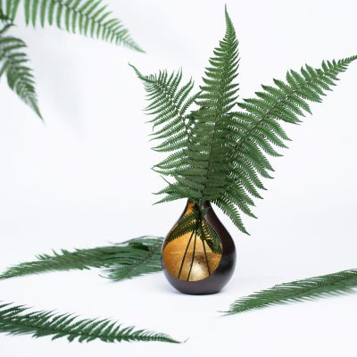 Parchemin Fern- 10 Stems