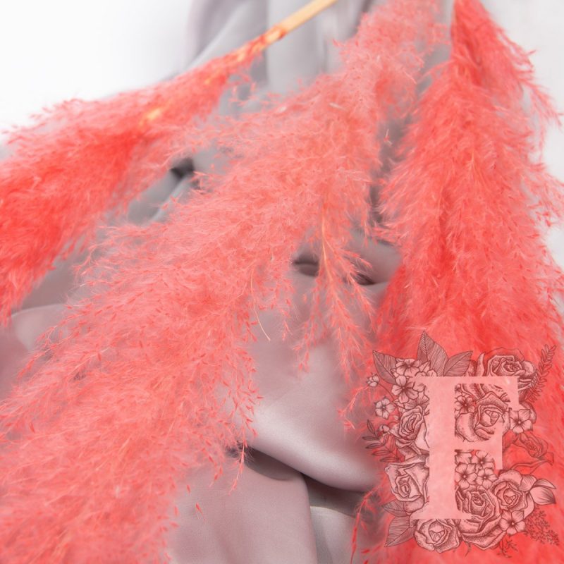 Cerise