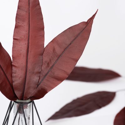 Tropical Leaf - 10 Stems