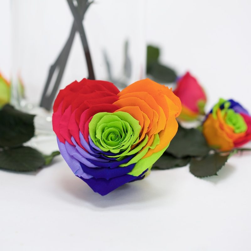 Rainbow Heart