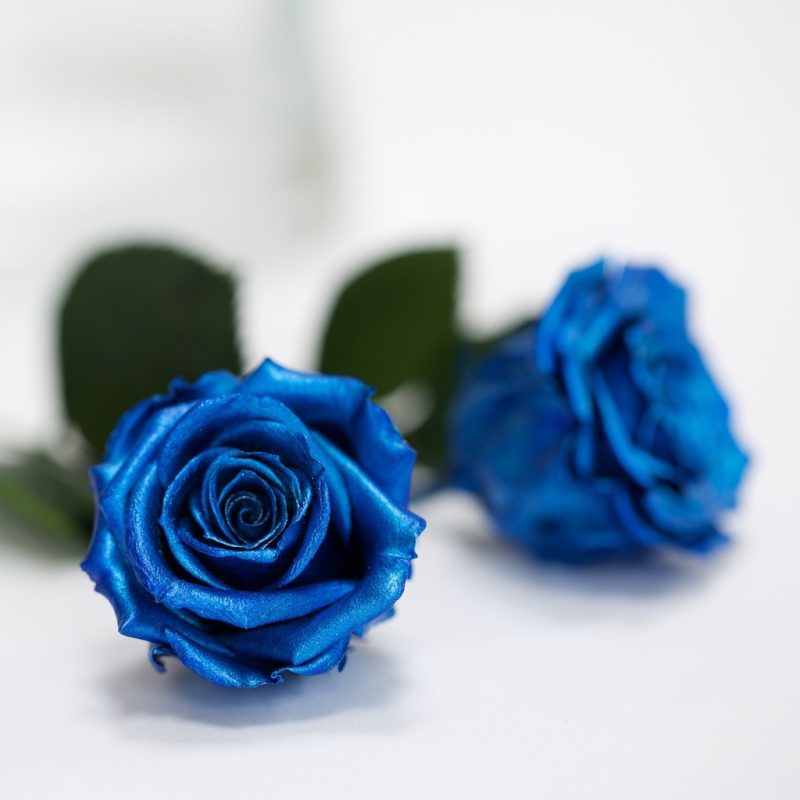 Blue Metallic