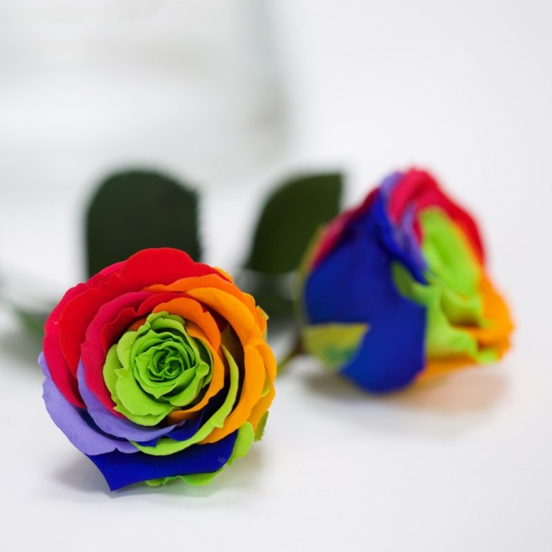 Rainbow Green