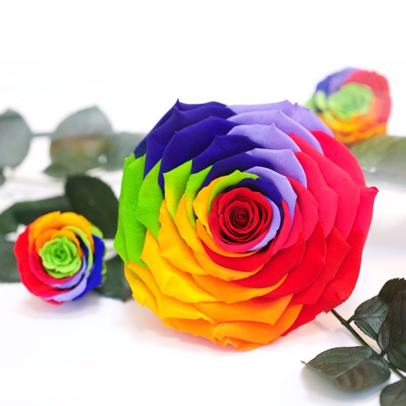 Rainbow Green