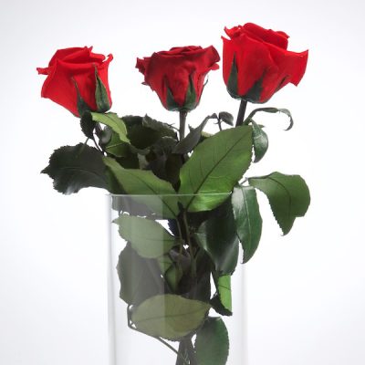 RoseAmor - Rose with Stem 30cm