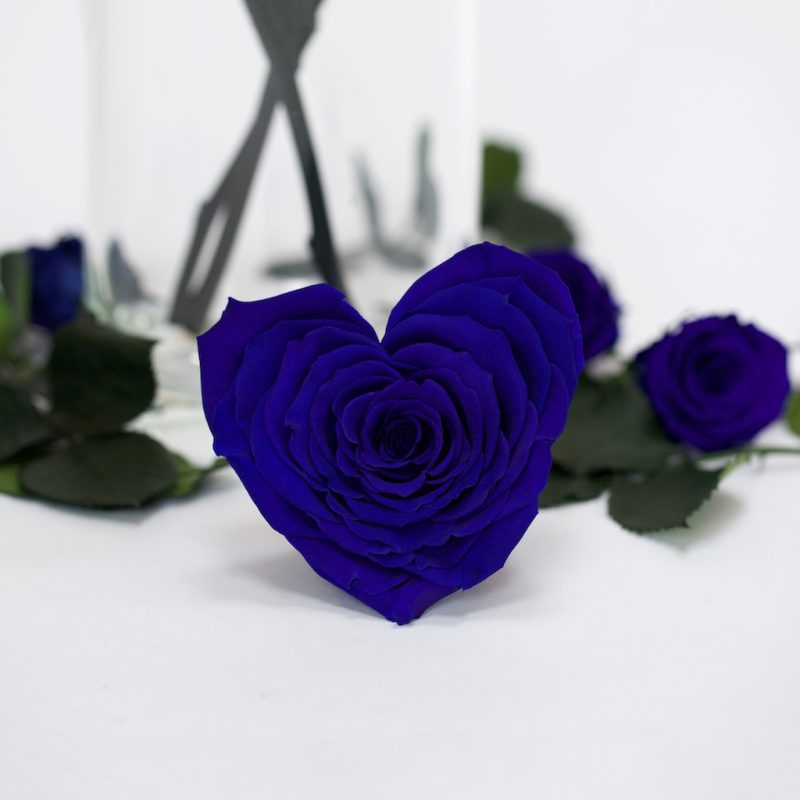 Blue Heart