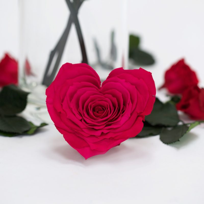 Pink Heart (dark)