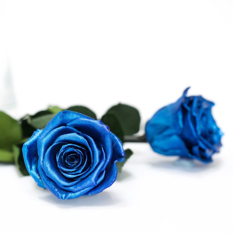 Blue Metallic