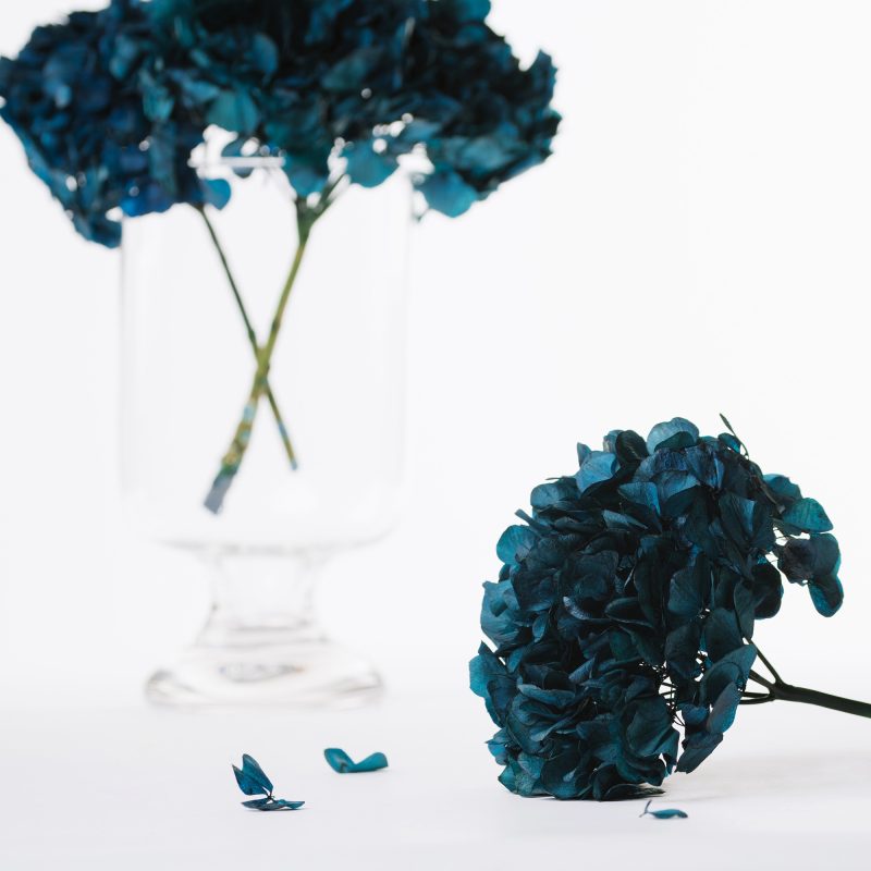 Metallic Blue