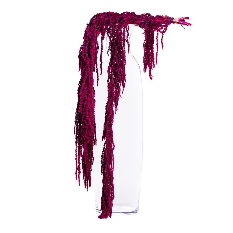 Dark pink