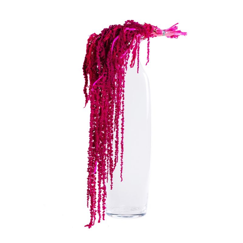 Hot pink