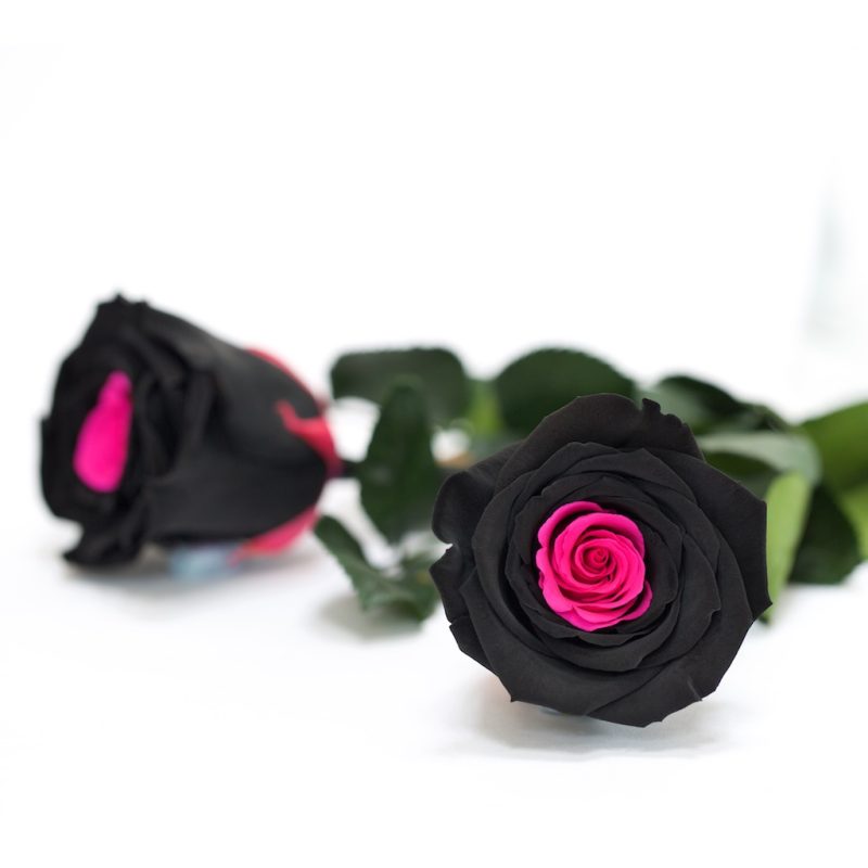 Drop of pink