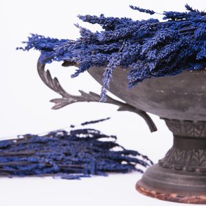 Preserved Lavender