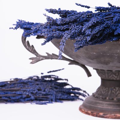 Lavender - Bunch - Purple blue