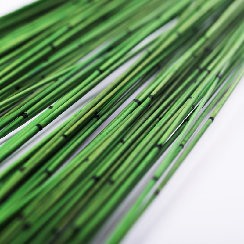 bright green