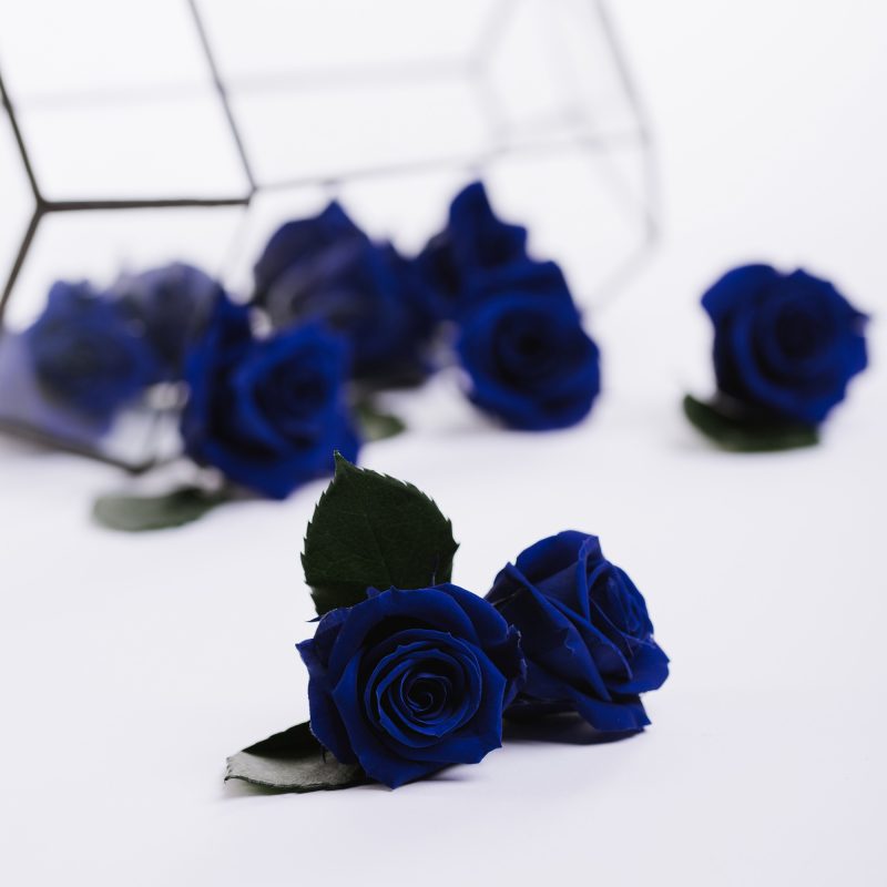 Dark Blue
