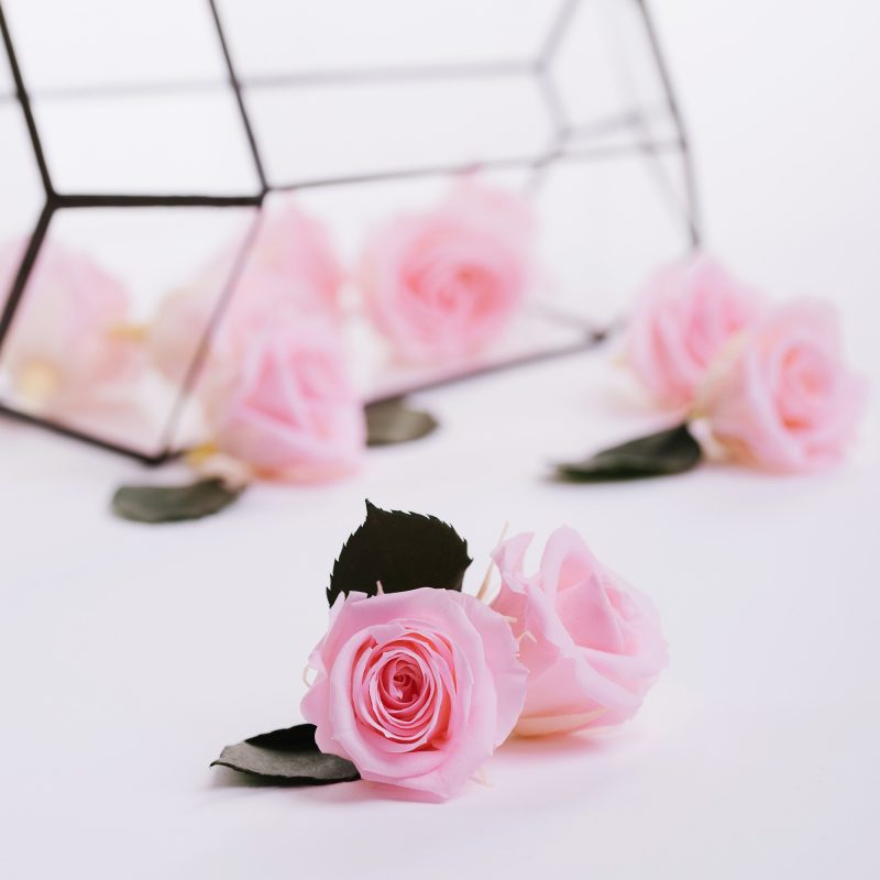Bridal Pink
