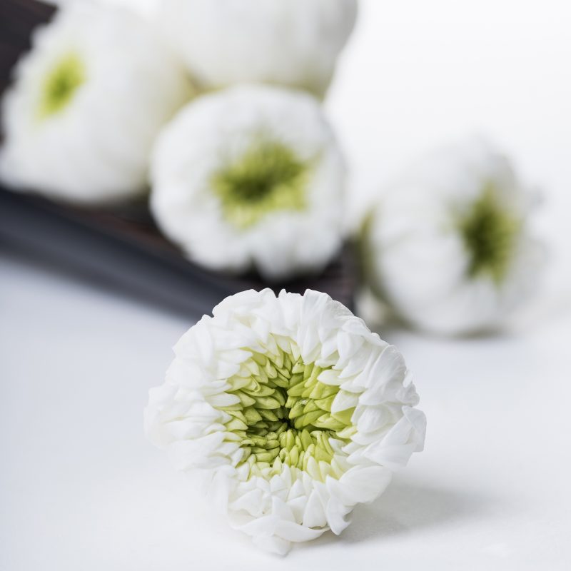 White/Green