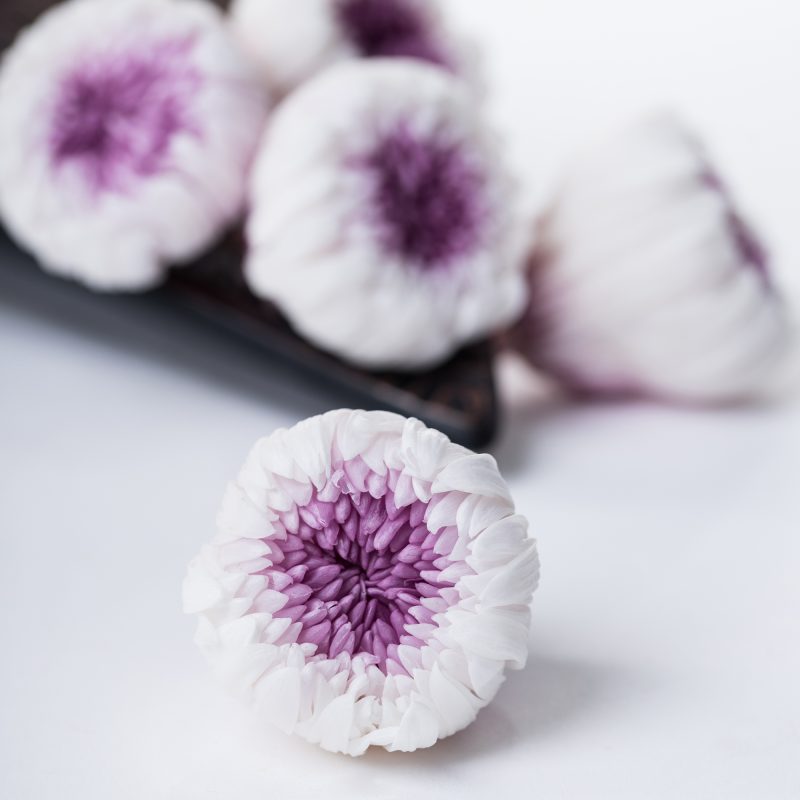 White/Purple