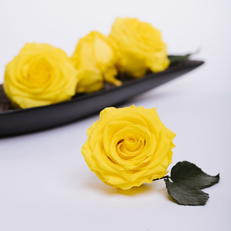 Bright Yellow