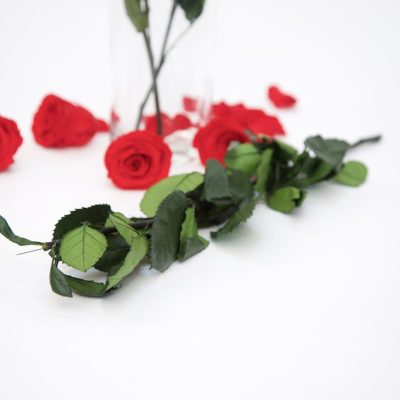Rose Stem -70cm