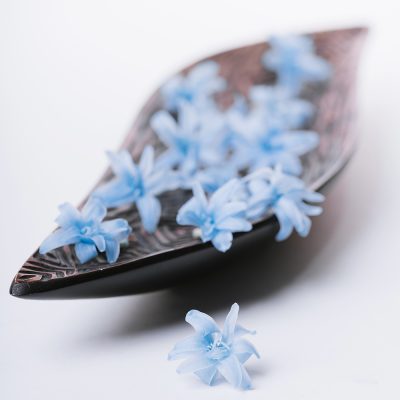 Tuberose - 12 Heads
