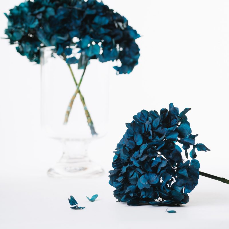 metallic blue