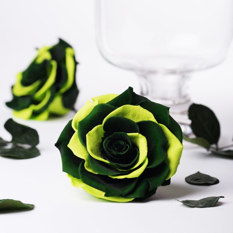 Exclusive green