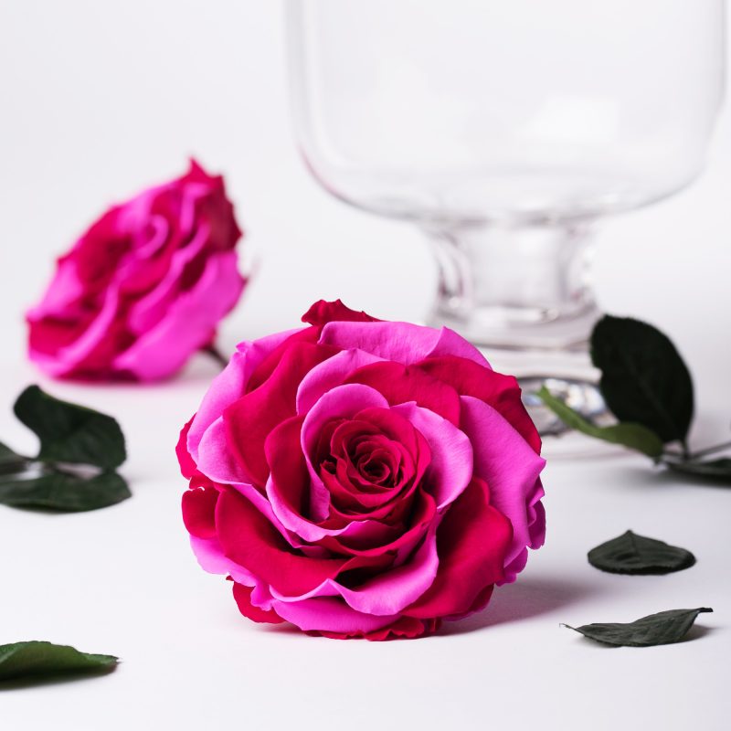 Exclusive pink