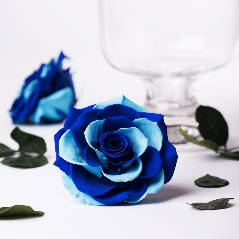 Exclusive blue