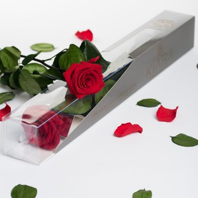 Kiara - Stem with Rose