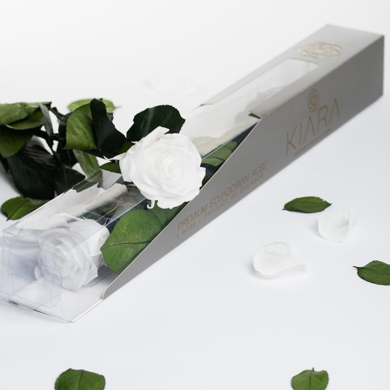 Pure White