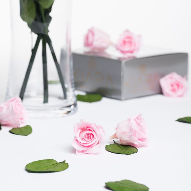 Bridal Pink