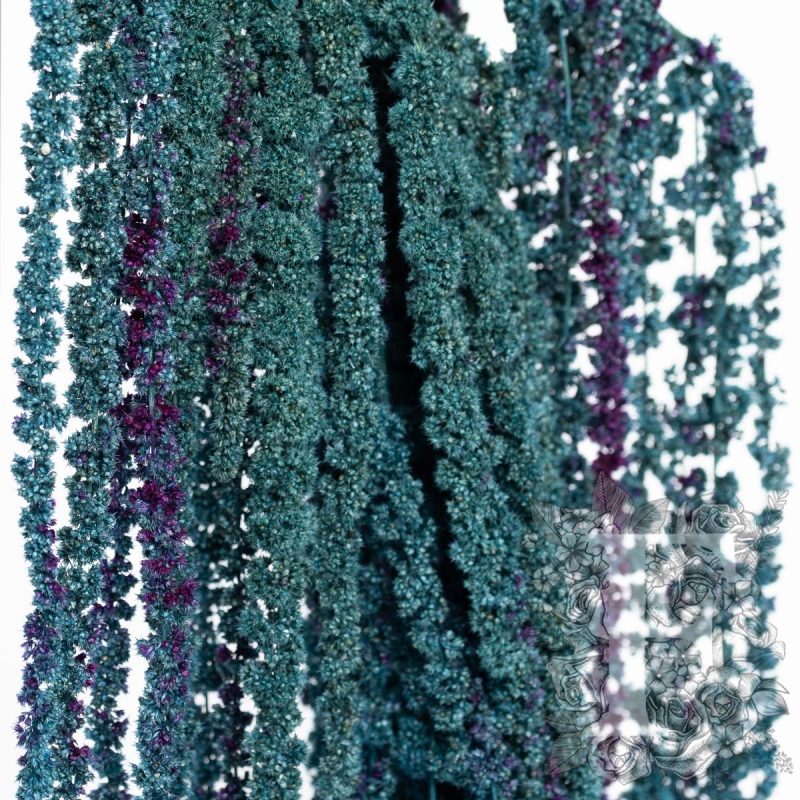blue/purple